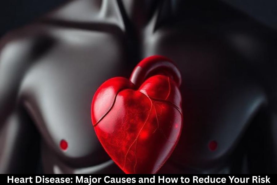 Heart Disease: Major Causes and How to Reduce Your Risk